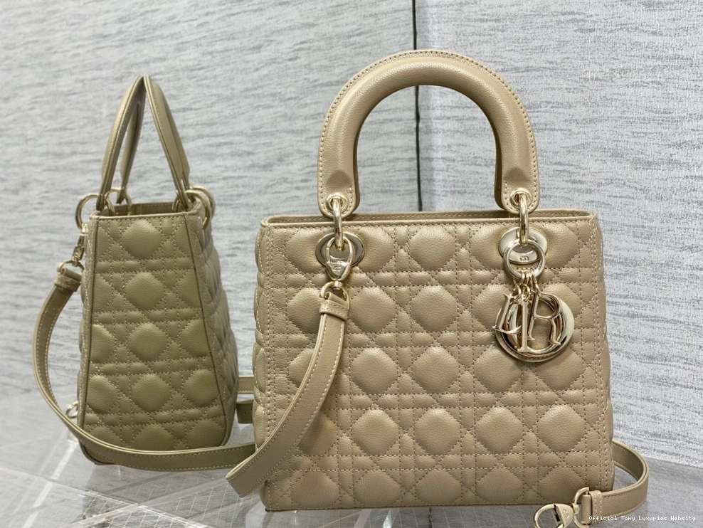Tony Luxuries Gold Lady Calfskin-24cm diro large 0803